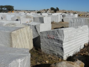 Park Blocks Vimieiro