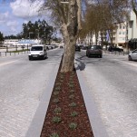 Urban Requalification Avenue D. José Alves Correia da Silva